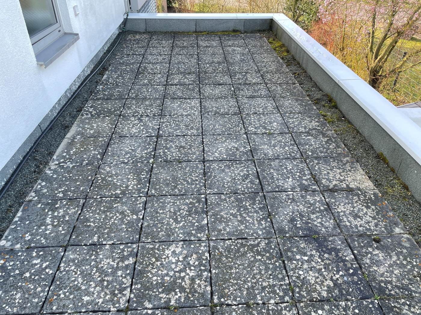 Terrasse mit Flechten und Moos vor der Steinreinigung